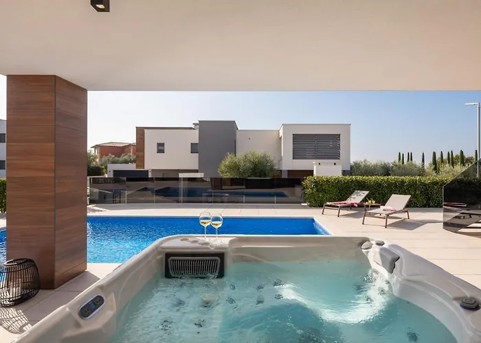 Old Olive Iv By Vivi Rent