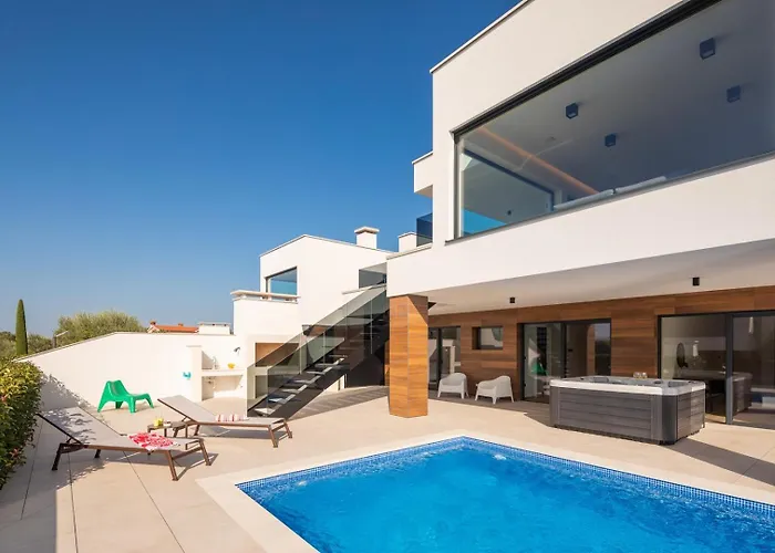 Old Olive Iv By Vivi Rent