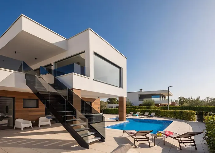 Old Olive Iv By Vivi Rent *