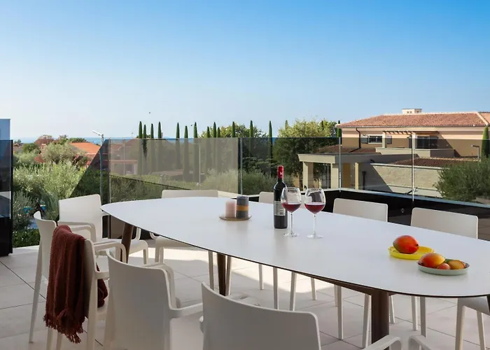 Old Olive Iv By Vivi Rent *