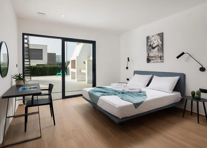 Old Olive Iv By Vivi Rent