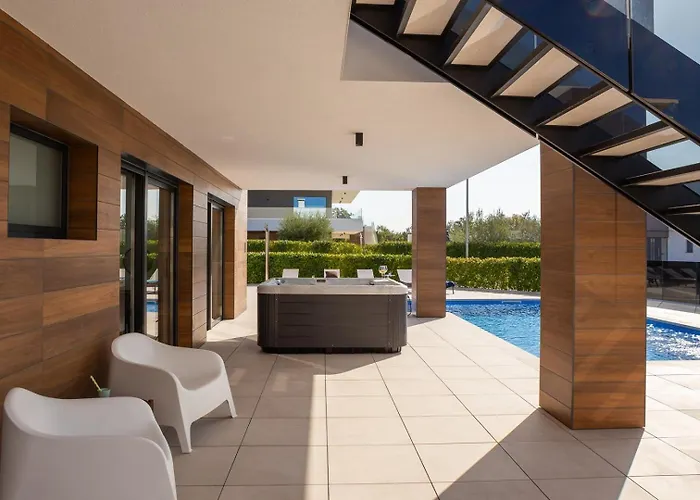 Old Olive Iv By Vivi Rent