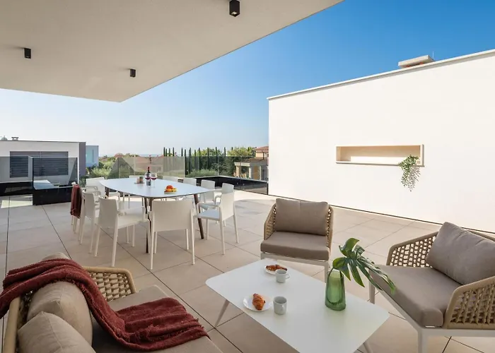 Old Olive Iv By Vivi Rent