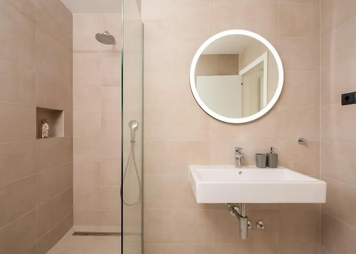 Old Olive Iv By Vivi Rent