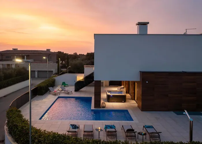 Old Olive Iv By Vivi Rent *